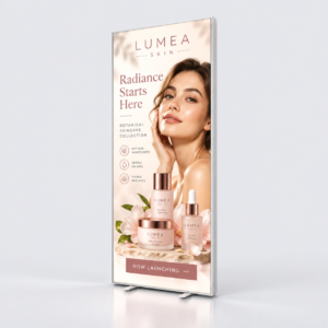 Economy Light Box Displays